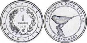 coin image