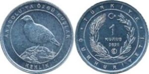 coin image