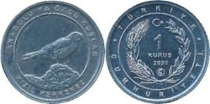 coin image