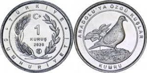 coin image