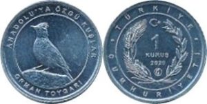 coin image