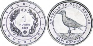 coin image