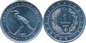 coin image