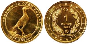 coin image