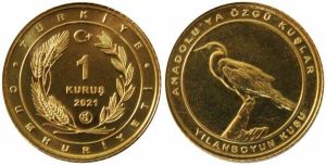 coin image